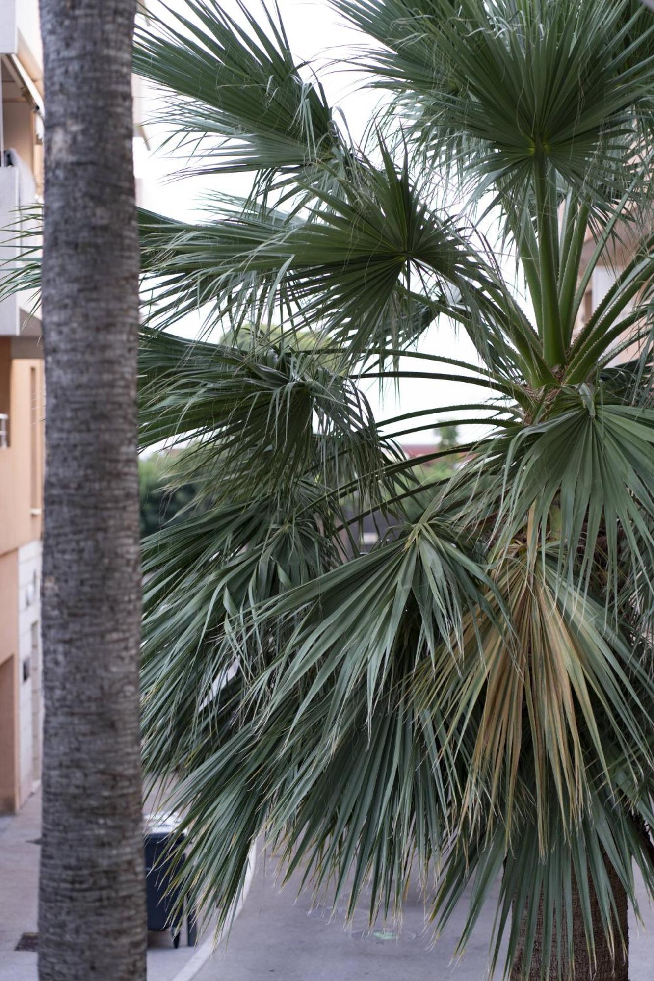 La Petit Maisonette De Manu Cannes Exterior foto